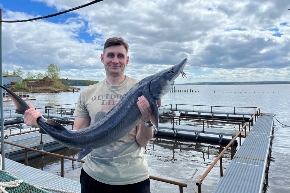 Андрей Попов, глава крестьянско-фермерского хозяйства «ДоброFish». Фото: «ДоброFish»