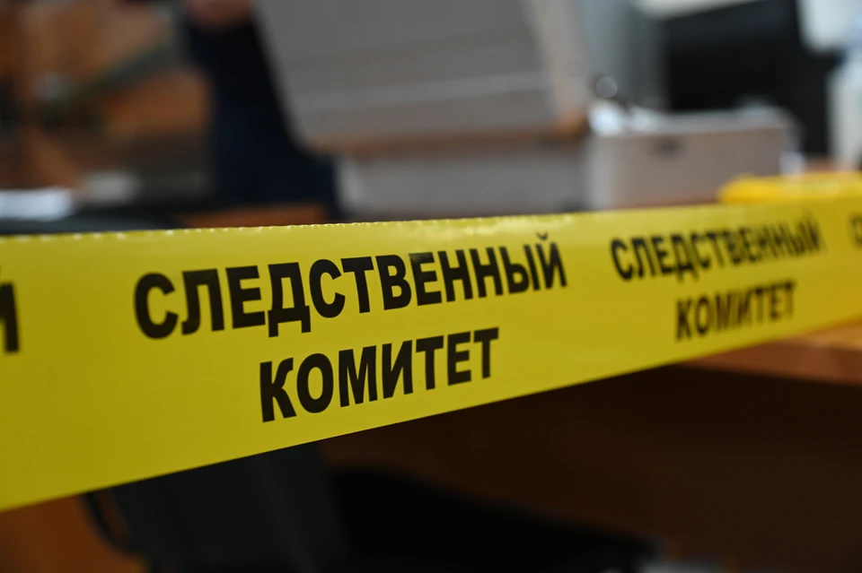 Ульяновские следователи завели уголовное дело об убийстве сыном матери и отчима