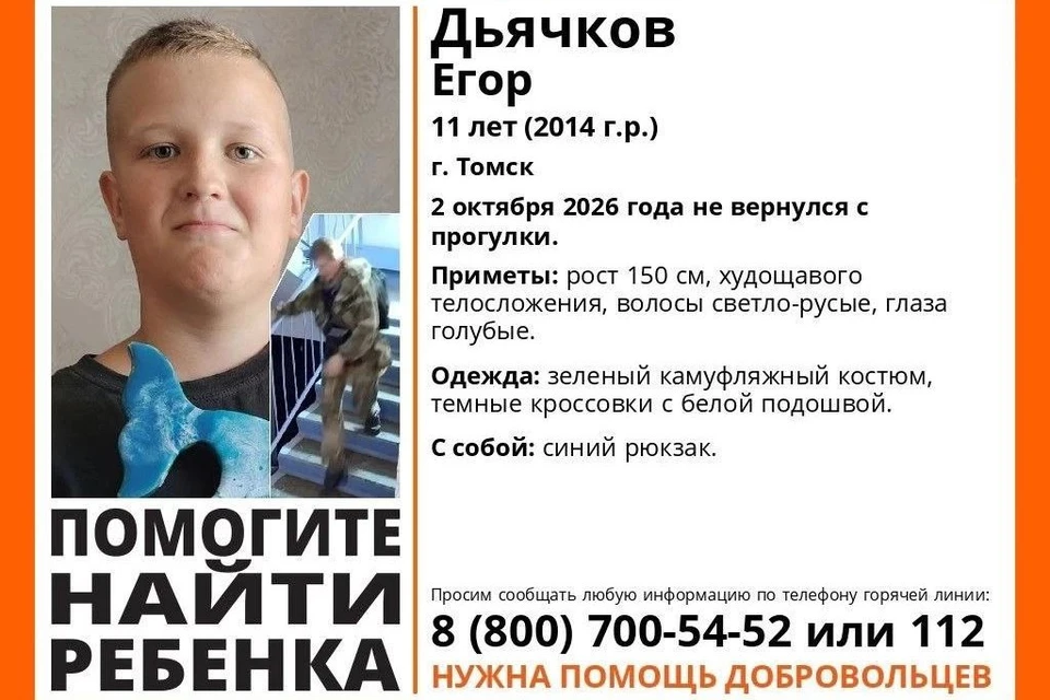 Ориентировка на пропавшего 11-летнего мальчика. Фото: «Лиза Алерт»