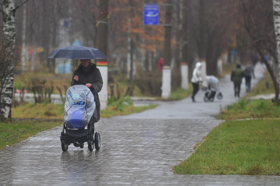 В Новосибирске 6 октября температура составит +10 градусов.
