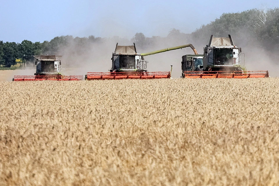 Новые условия приема Украины в ЕС – без права экспорта сельхозпродуктов в страны союза – очень похожи на создание условий, которые заставят сам Киев хлопнуть дверью