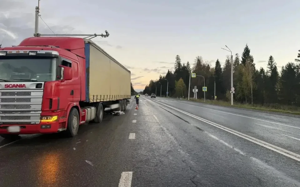 Ребенок скончался на месте аварии от полученных травм