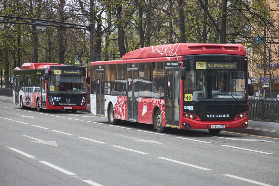 10 и 14 октября общественный транспорт в Перми будет работать в усиленном режиме.