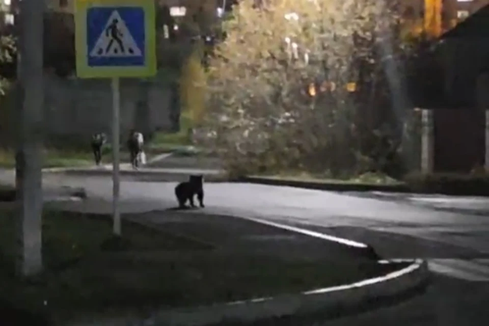 Скрин с видео ЧП Нягань