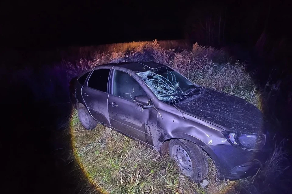 В аварии пострадали три человека. Фото: Госавтоинспекция Удмуртии
