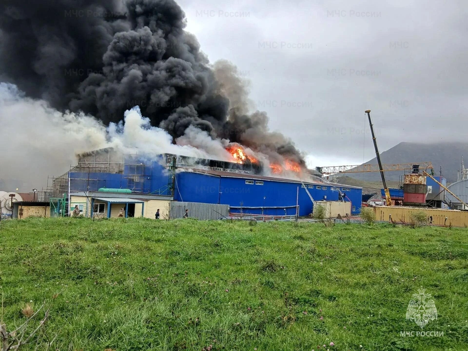 На Сахалине потушили крупный пожар на рыбкомбинате. Фото: МЧС Сахалина