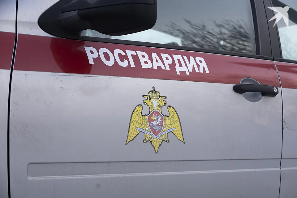 Прибывшие росгвардейцы задержали женщину и передали ее полиции.