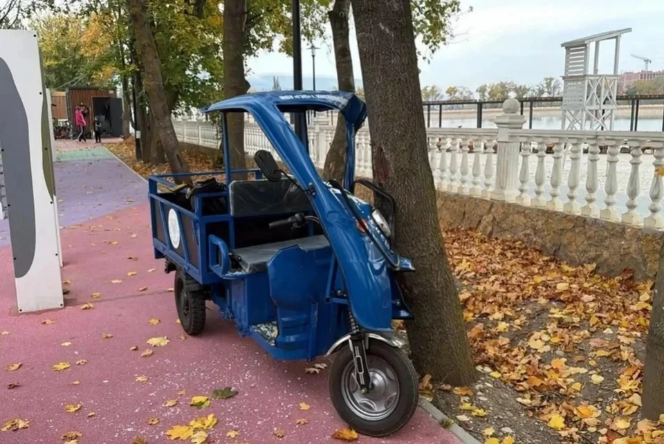 В Кисловодске 6-летняя девочка въехала в дерево на электротележке коммунальщиков. Фото: пресс-служба Госавтоинспекции Ставропольского края