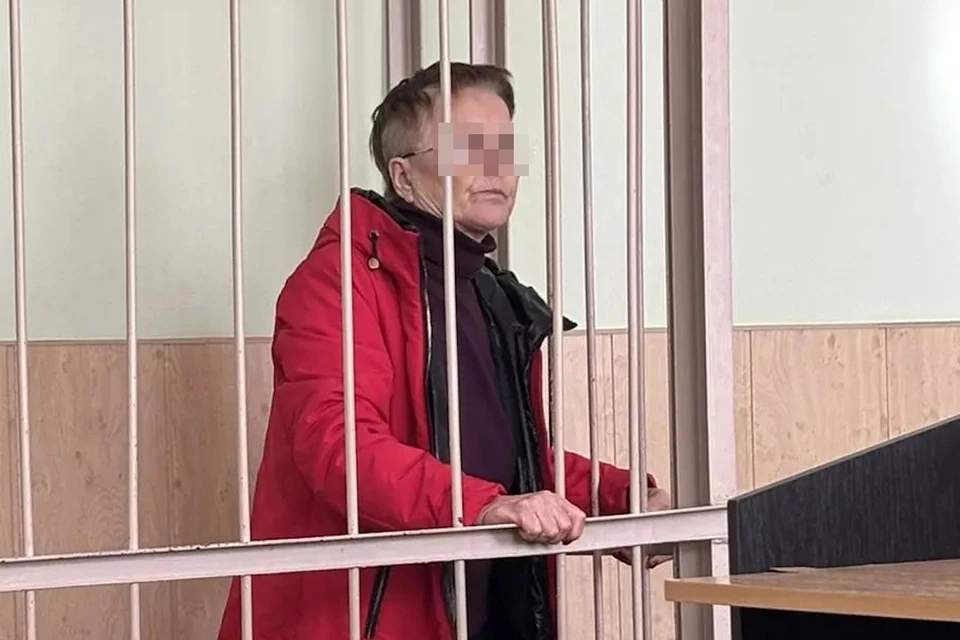 Бабушку из Петербурга обвинили в домогательствах к родным внукам. Фото: объединенная пресс-служба судов Петербурга