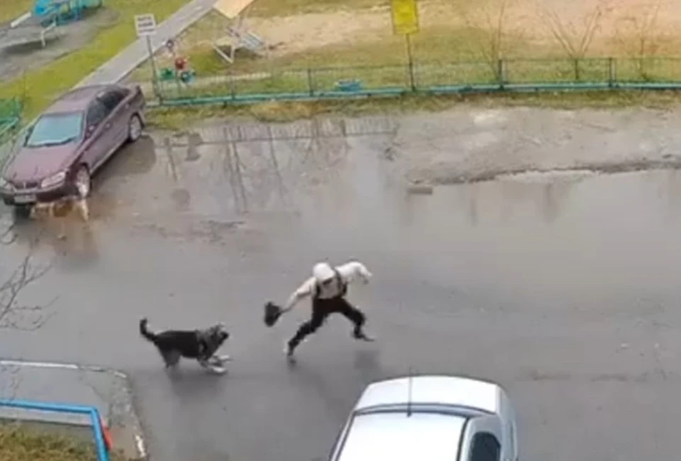 Скрин с видео N1