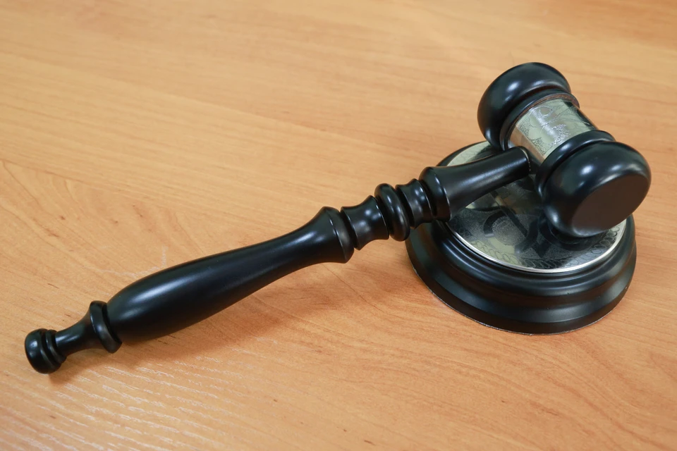 Суд назначил наказание по ч. 2 ст. 172.1 УК РФ