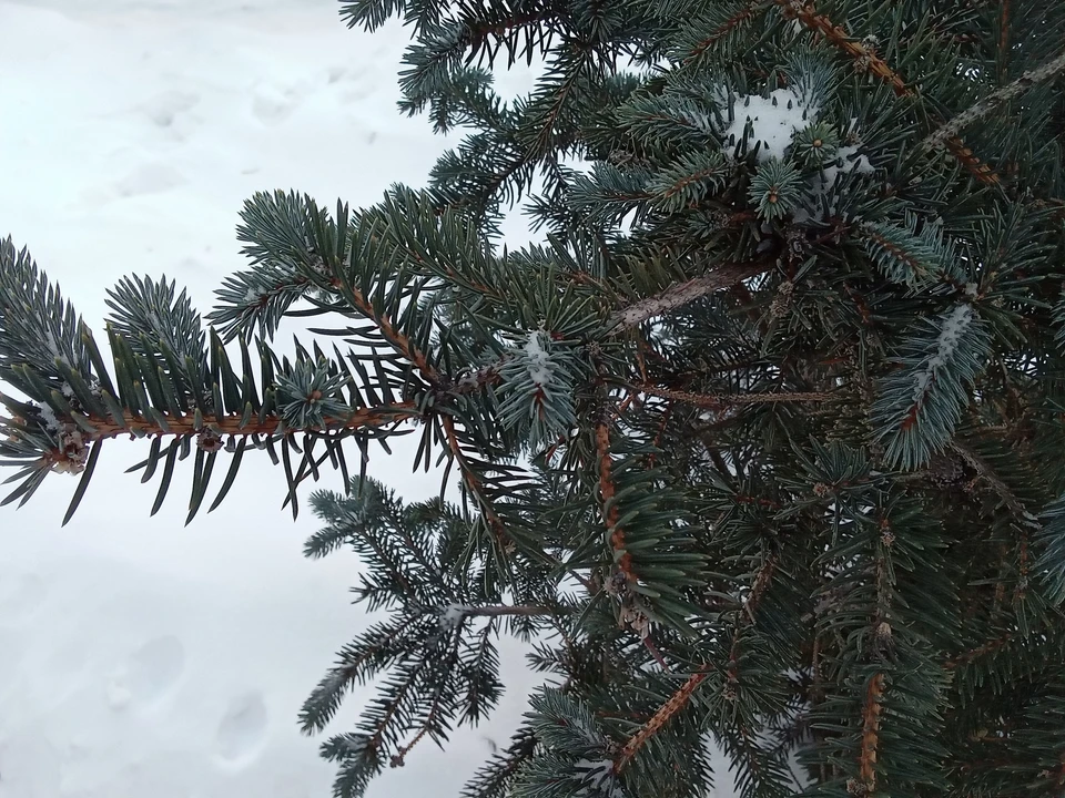 Погода на Ямале на 26 октября