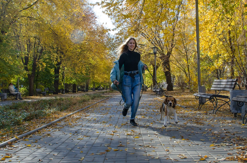 Золотая осень продолжается