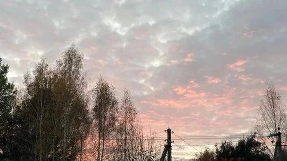 Никто не пострадал.