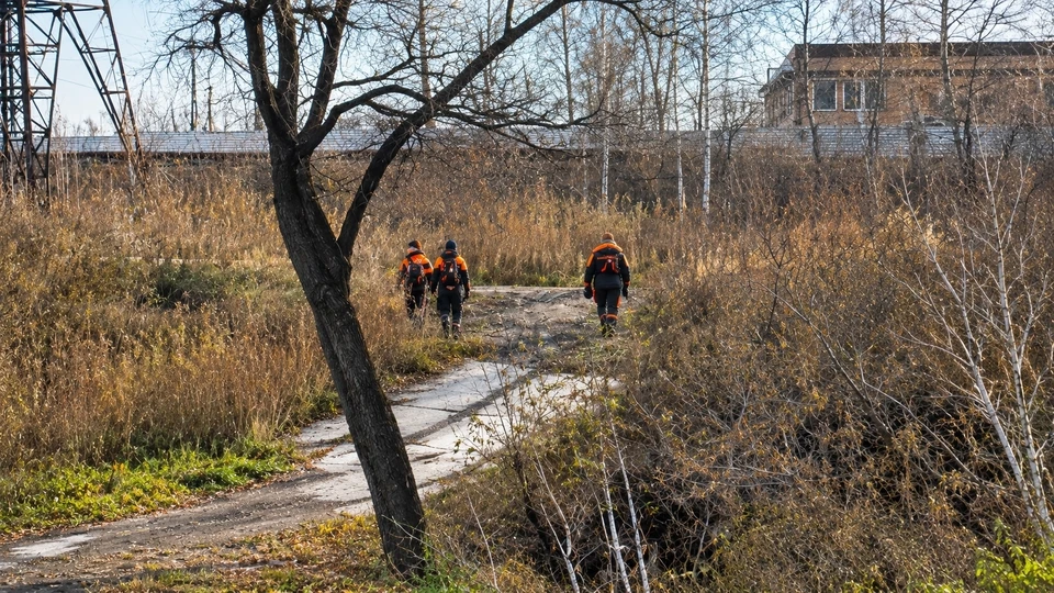 Фото: Лиза Алерт.