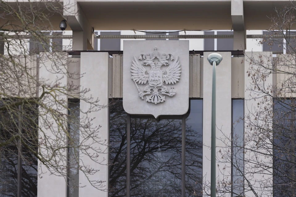 Российские дипломаты отвергли обвинения и заявили, что французская сторона не представила доказательств. Фото: Vincent Isore/Keystone Press Agency/Global Look Press
