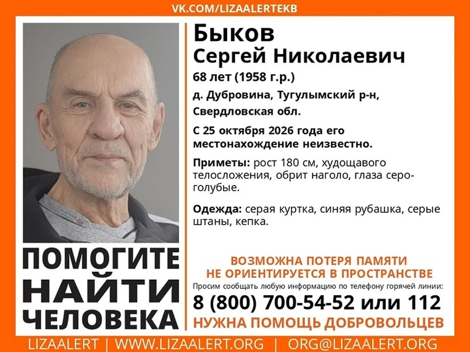 Мужчина пропал еще 25 октября. Фото: поисковый отряд «ЛизаАлерт»