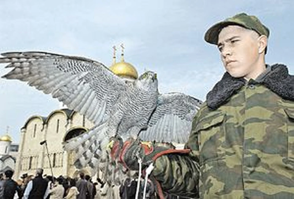 Специальный пернатый отряд, созданный при Кремле, ежедневно гоняет ворон.