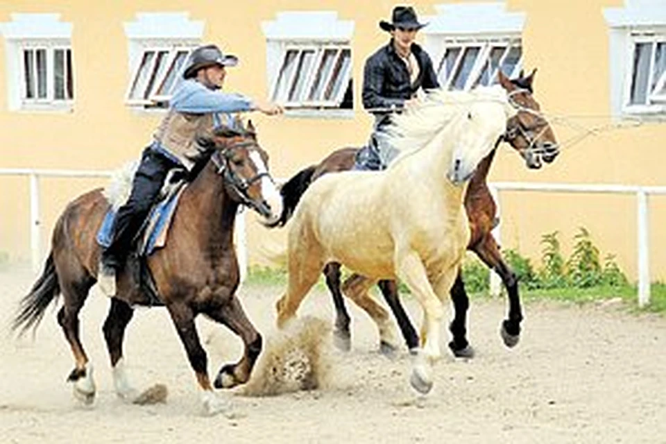 Телефон:  984-69-38. Подробности:  www.algirsnxlo.wijpduo.tk