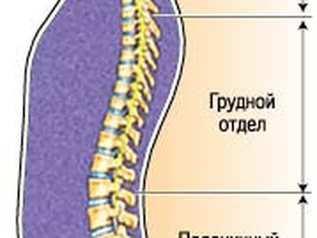 Когда болит спина - KP.RU