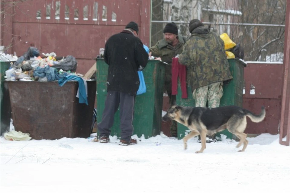 В Твери люди готовы помогать собакам и кошкам, но не себе подобным