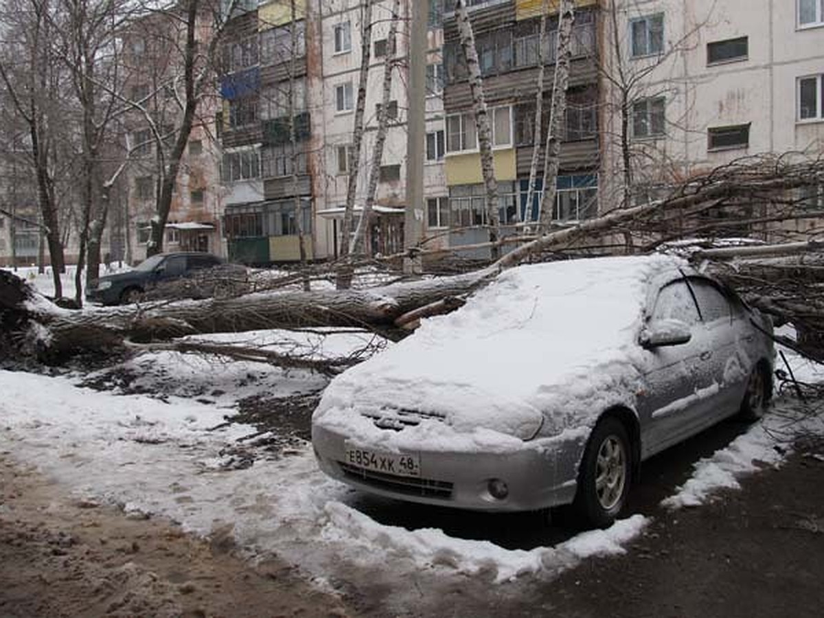 В Липецке из-за ветра падали рекламные щиты и деревья валились на машины -  KP.RU