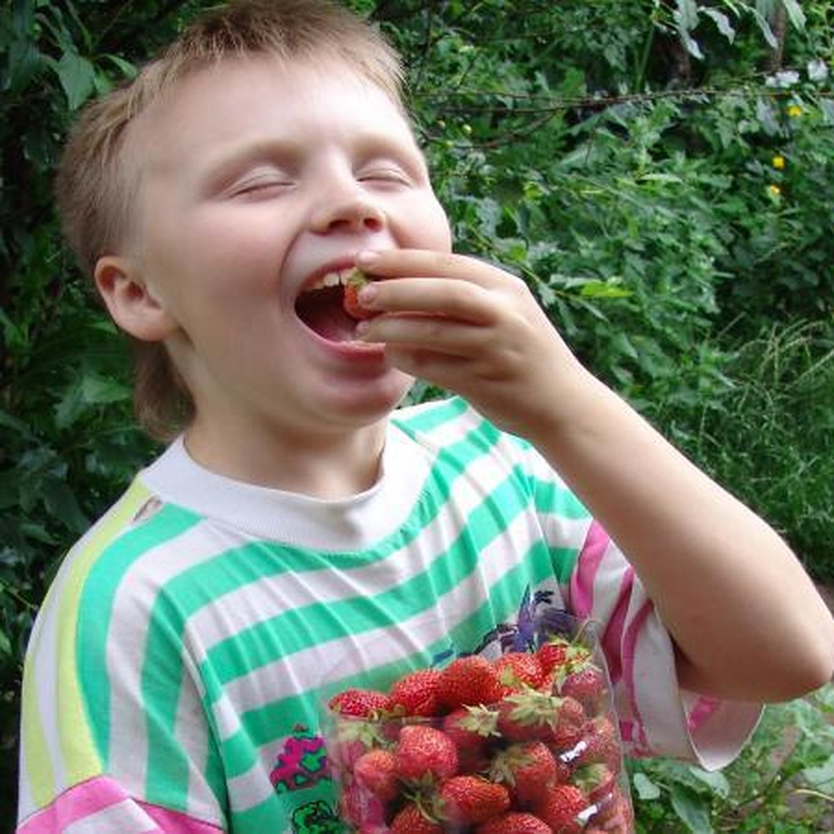 Закатаем в банки лето: пелтя лучше, чем конфета - KP.RU