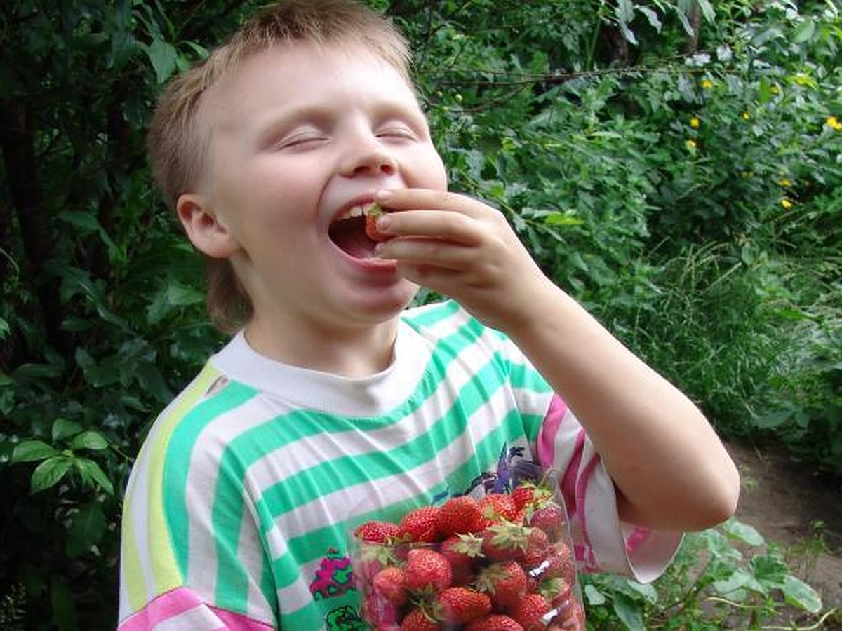 Закатаем в банки лето: пелтя лучше, чем конфета - KP.RU