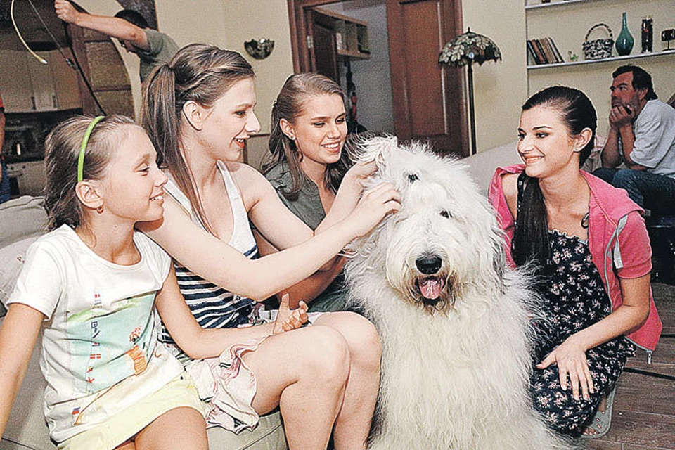 В новом сезоне у Пуговки сбылась мечта - ей подарили собаку породы бобтейл по кличке Граф, который тут же стал всеобщим любимцем.