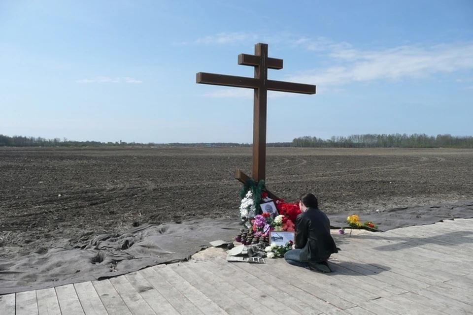 Семья громовых погибших в авиакатастрофе фото