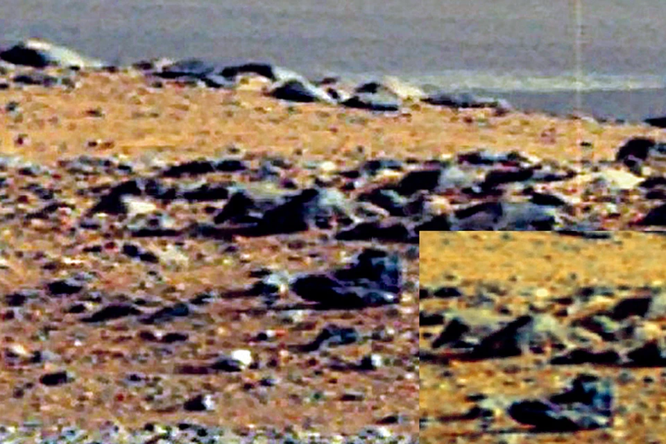 По оценкам экспертов, ботинок марсианина (на снимке вверху) был примерно 43-го земного размера.