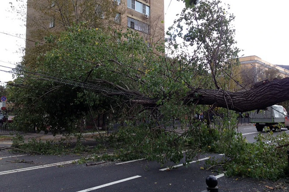 Ураган в москве