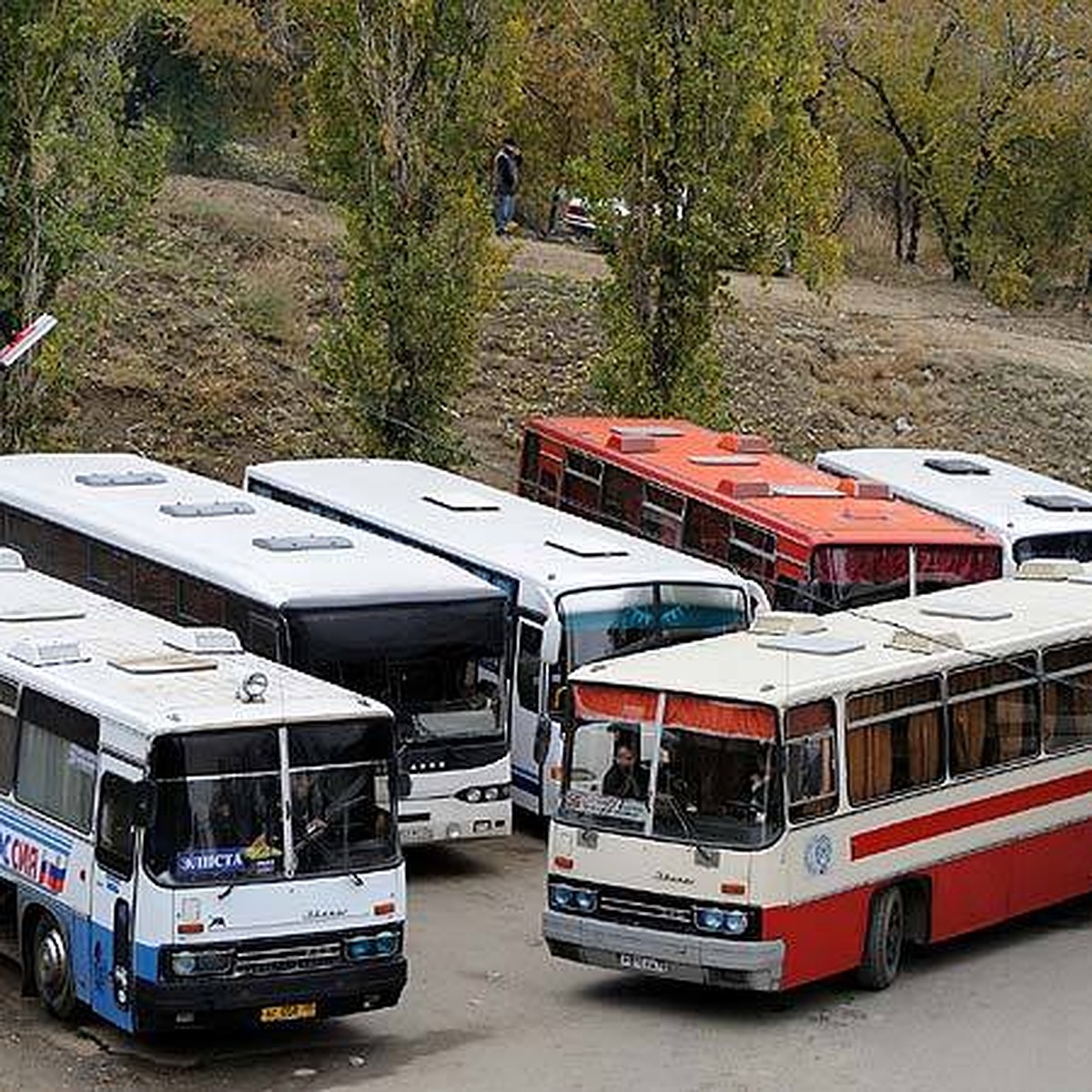 Пригородные автобусы в Волгограде отменили из-за долгов - KP.RU