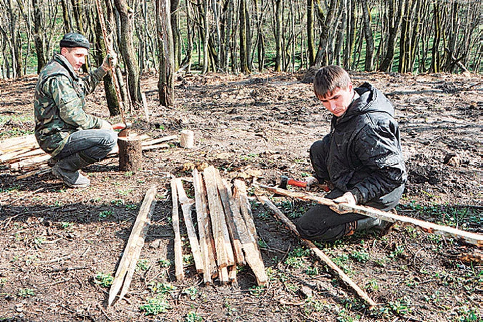 Власти Ставрополя обещают, что беспощадной вырубки лесов в городе больше не будет