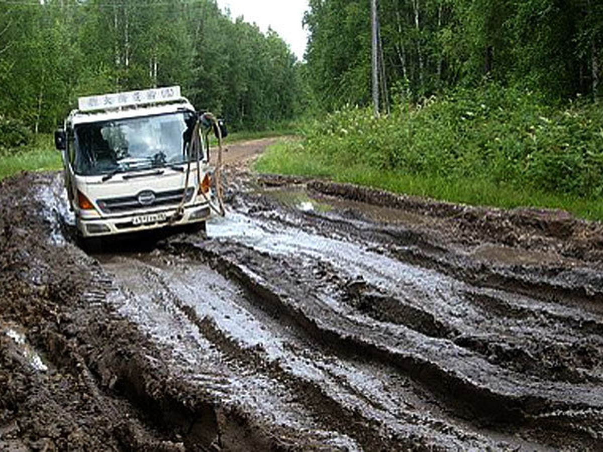 Откуда берется темная полоска на животе во время беременности