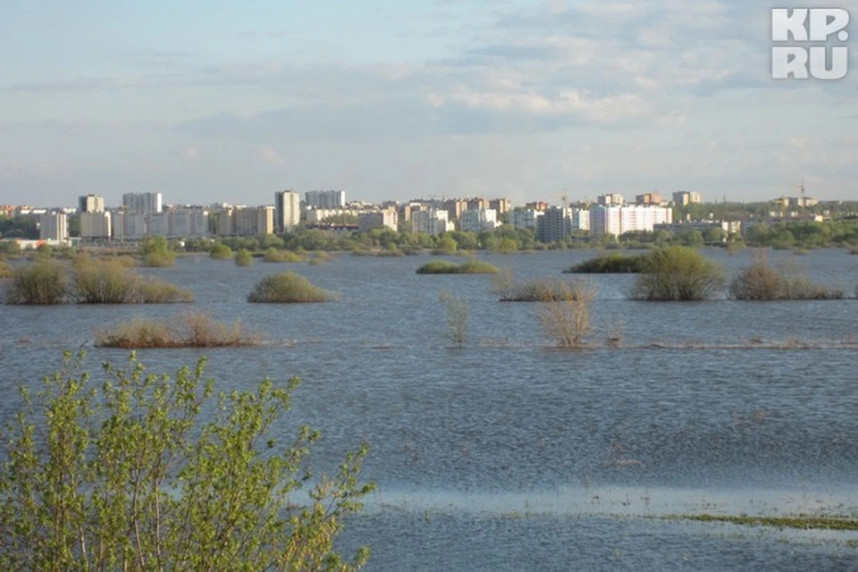 В прошлом году вода в черте Рязани достигла отметки в 574 сантиметра.