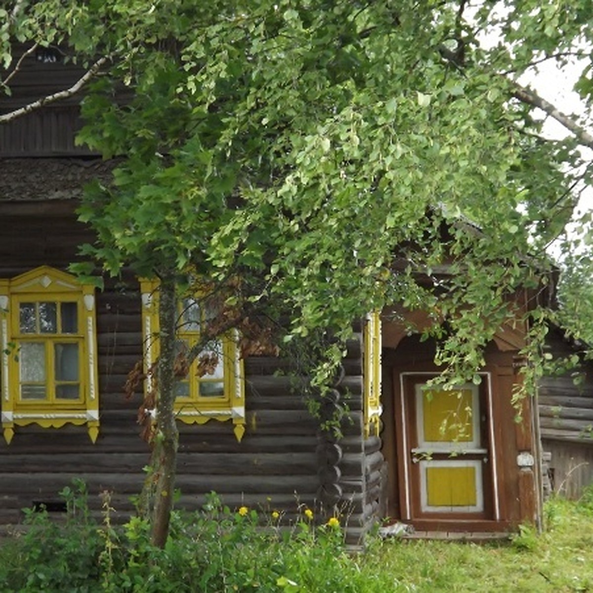 Огороды жителей Твери атакуют черви и хищные вьюнки - KP.RU