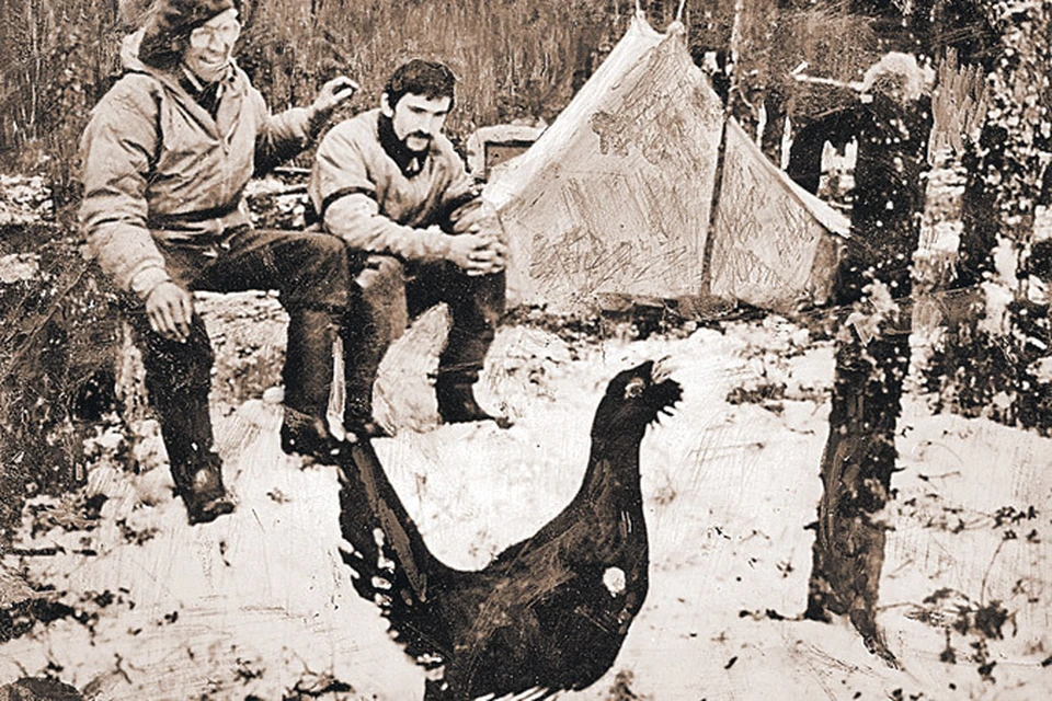 Токующий глухарь.