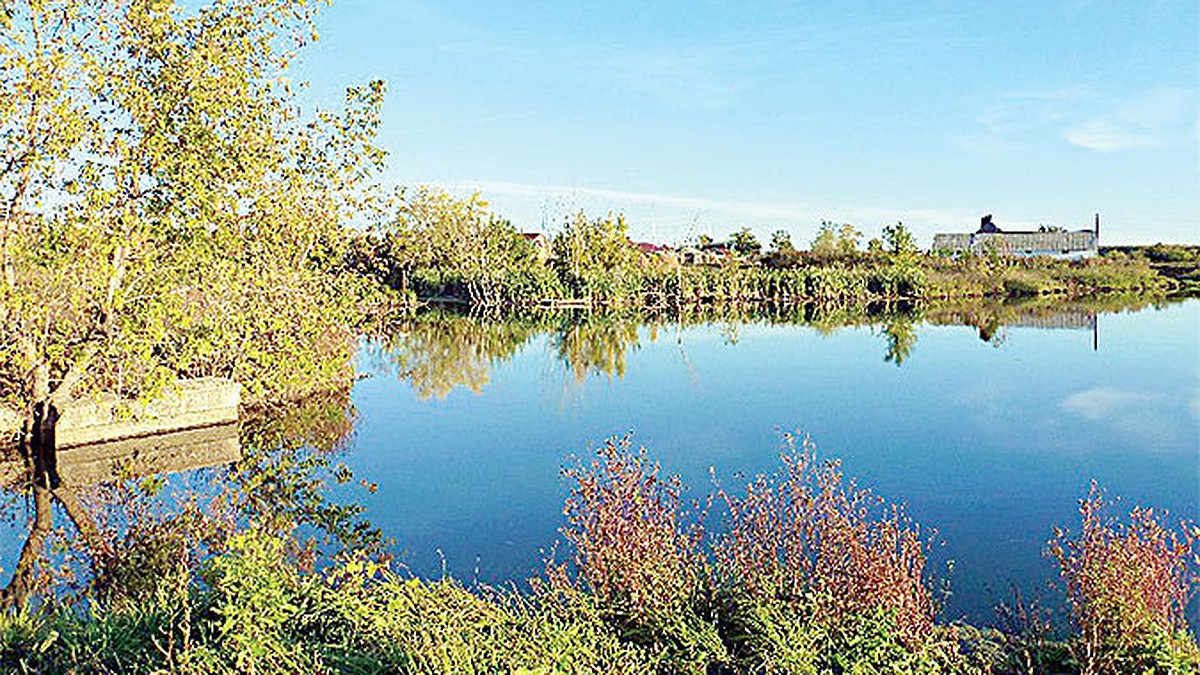 Борское. Село Борское Самарская область. Село Борское Борский район. Борский район Самарская область природа. Самарская область Борский район село Борское.