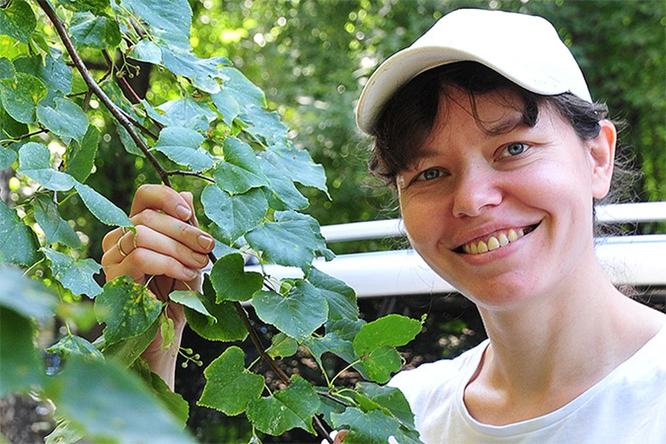 Елена корсун презентация бизнеса