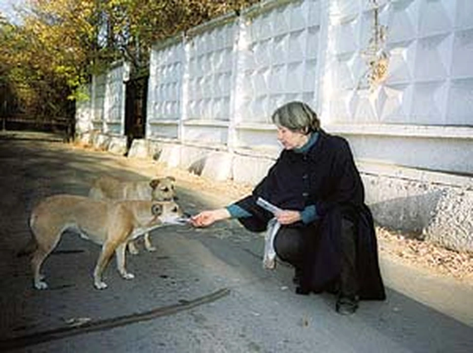 «Гроза» милиционеров Лидия Попова  все равно опекает бездомных собак - несмотря на уголовное дело.