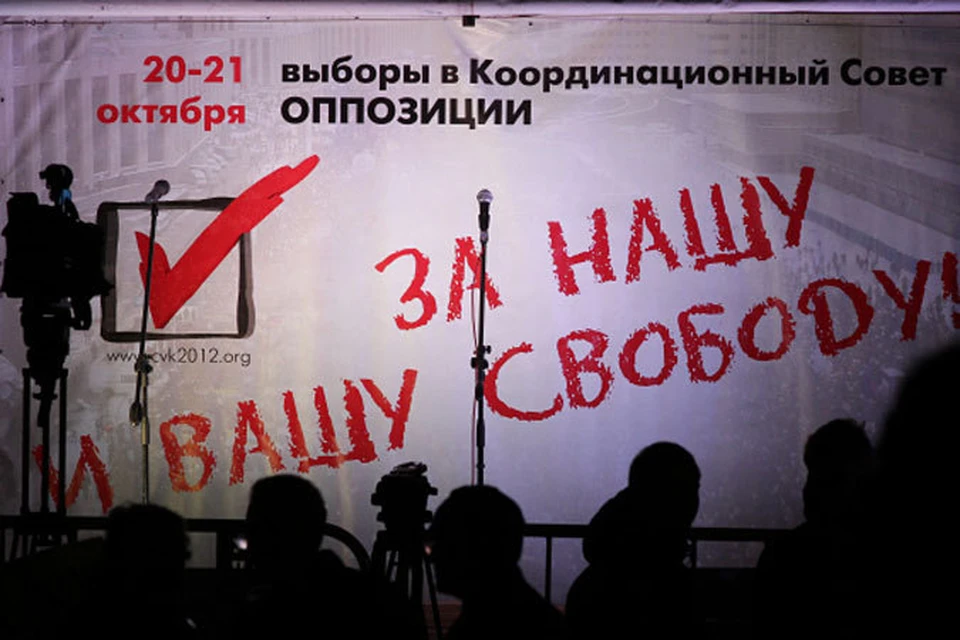 Орган, созданный после целого ряда акций протеста несистемной оппозиции в Москве почти год назад