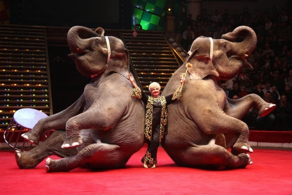 Шесть самых популярных цирков мира