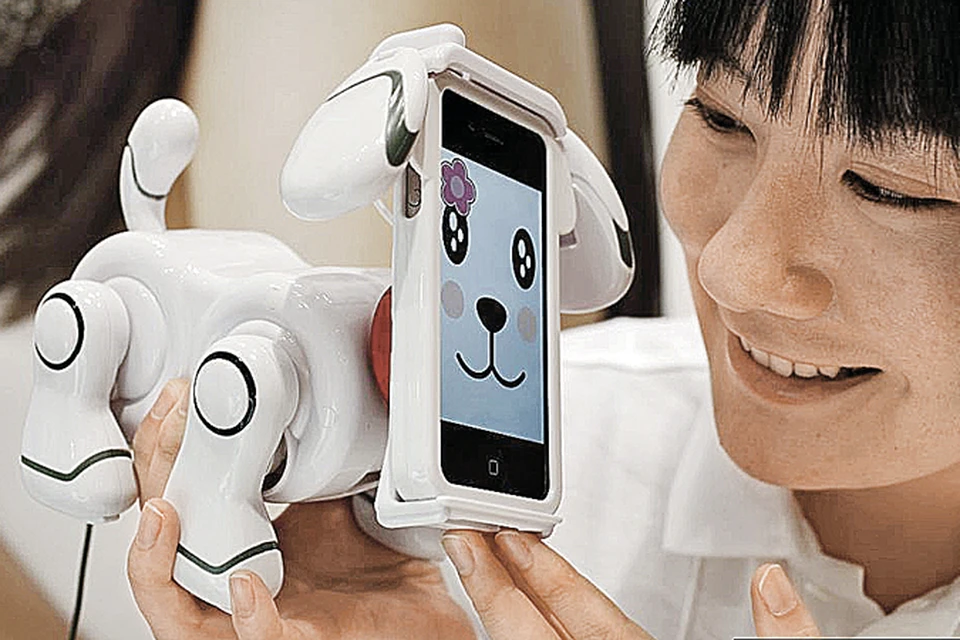 Китай славится умением приспосабливаться... Например, к айфону он изобрел этого симпатичного робота-пса.