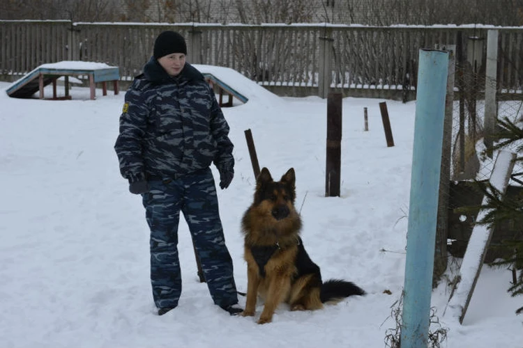 Ульяновцам рассказали, где воспитываются лучшие в области служебные собаки