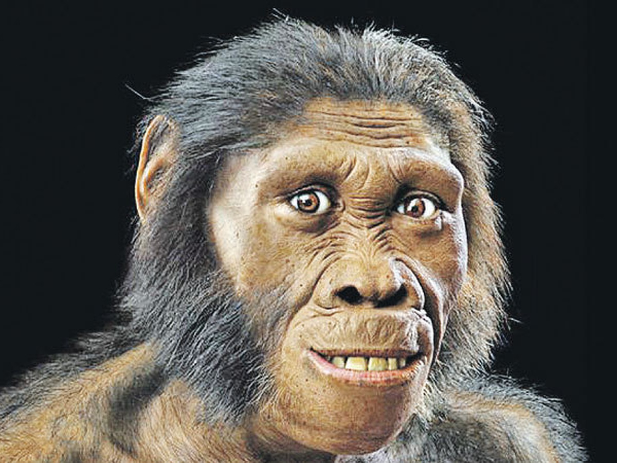 Дарвин оказался прав: предки людей были похожи на приматов - KP.RU