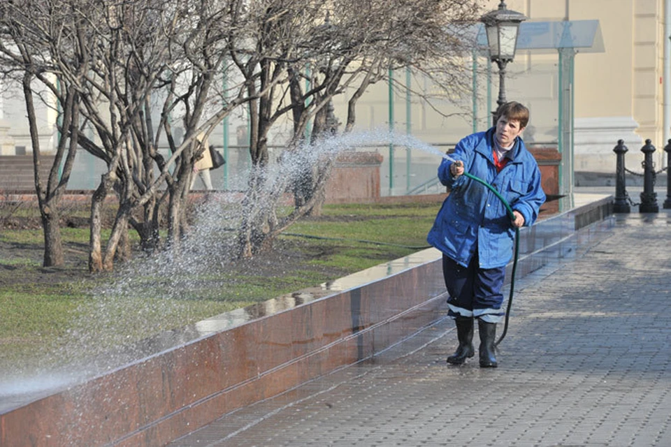 Городское хозяйство Москвы способно обойтись без избыточной иностранной рабочей силы.