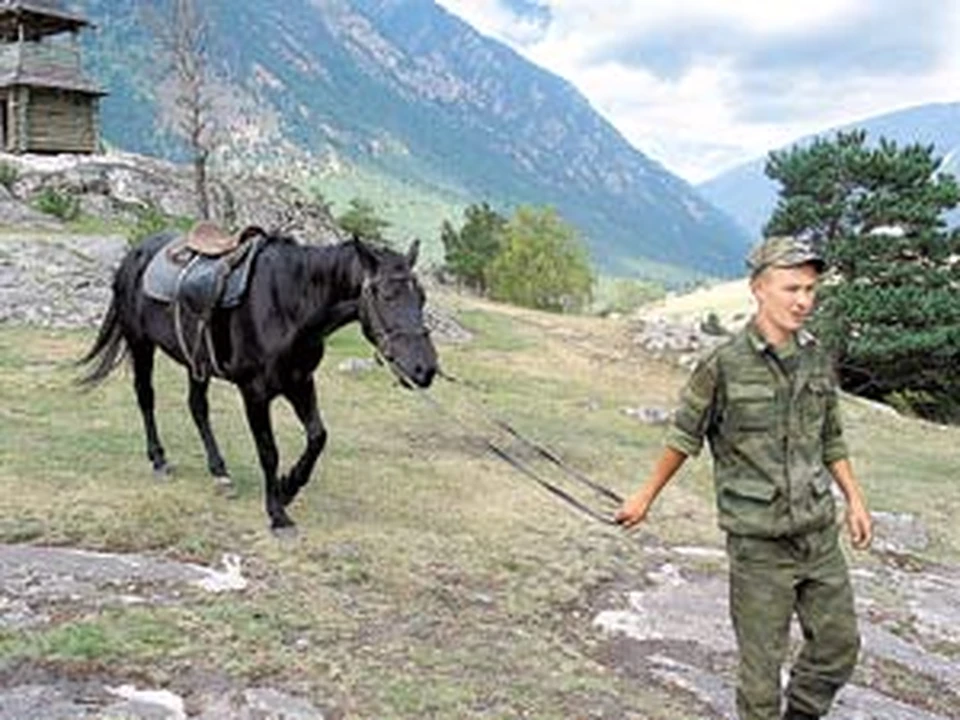 Пока политики «налаживают на Кавказе мирную жизнь», русские голосуют ногами.