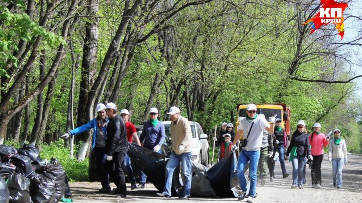 В Ростове больше сотни человек убрали городской лес в районе Можайских  прудов - KP.RU