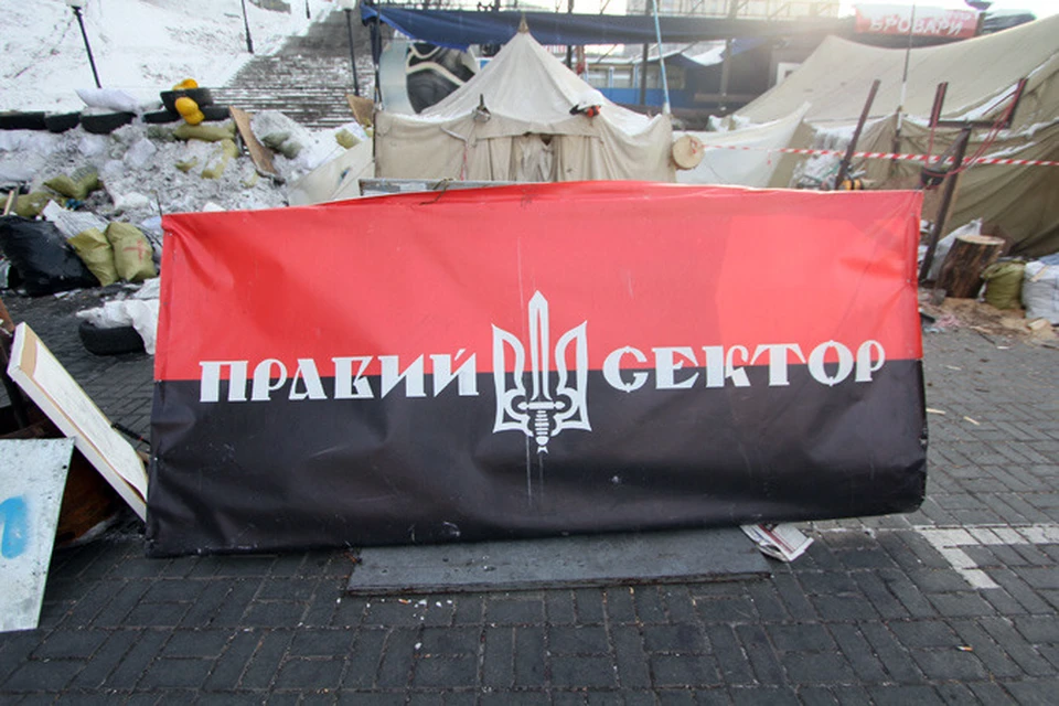 Если инициатива будет одобрена, счета этой организации и ее лидеров будут заморожены, радикалы "Правого сектора" станут невъездными в страны ЕС